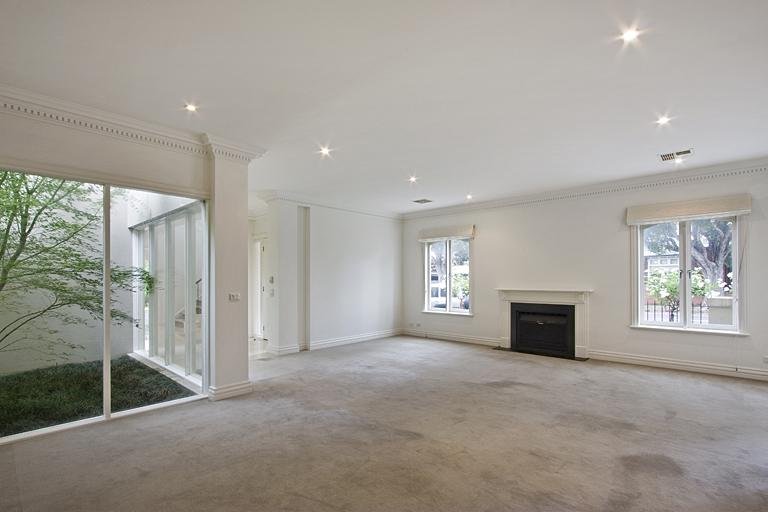 Gallery: 83 Cole Street