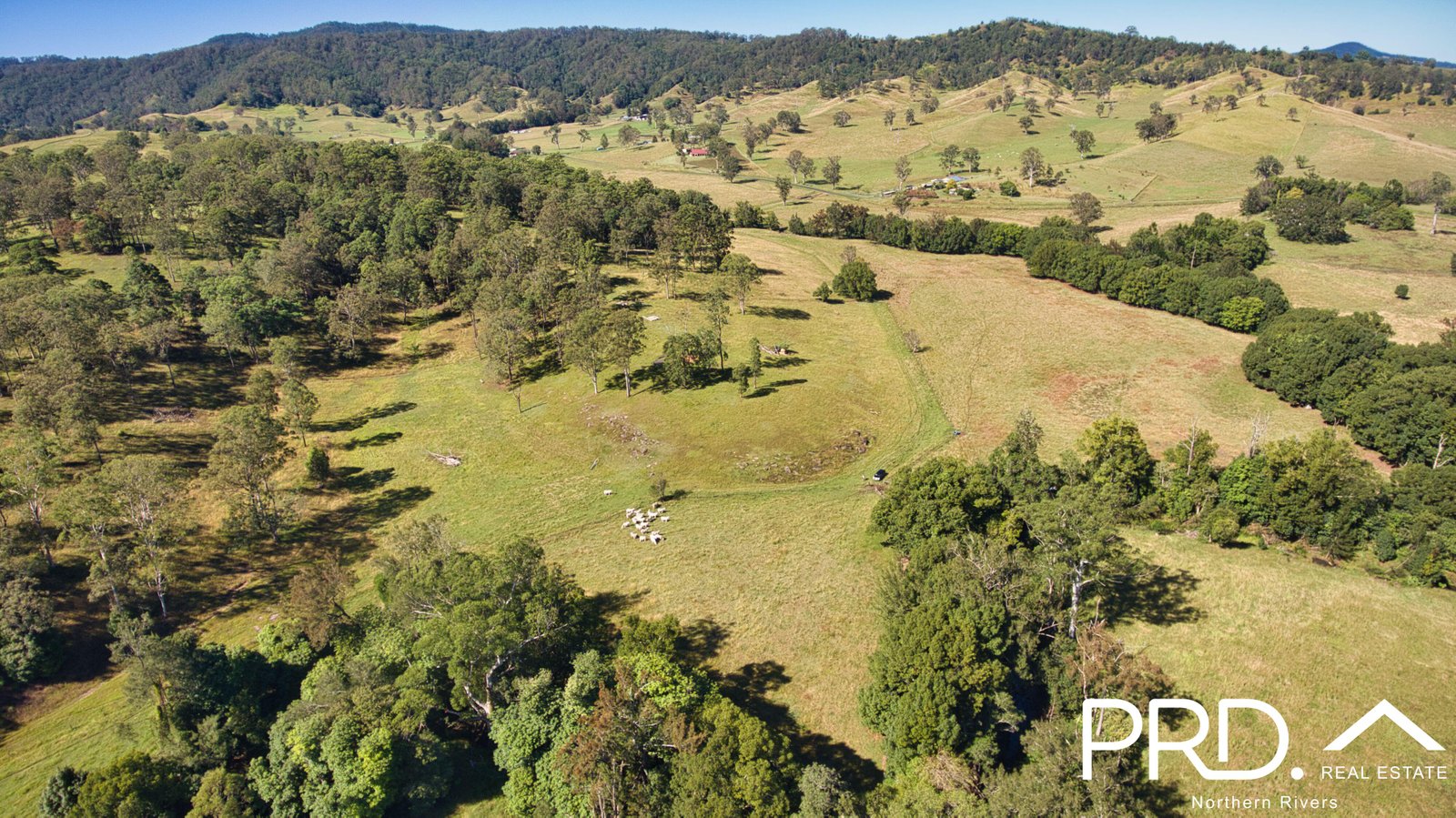 83 Horseshoe Creek Road HORSESHOE CREEK 20