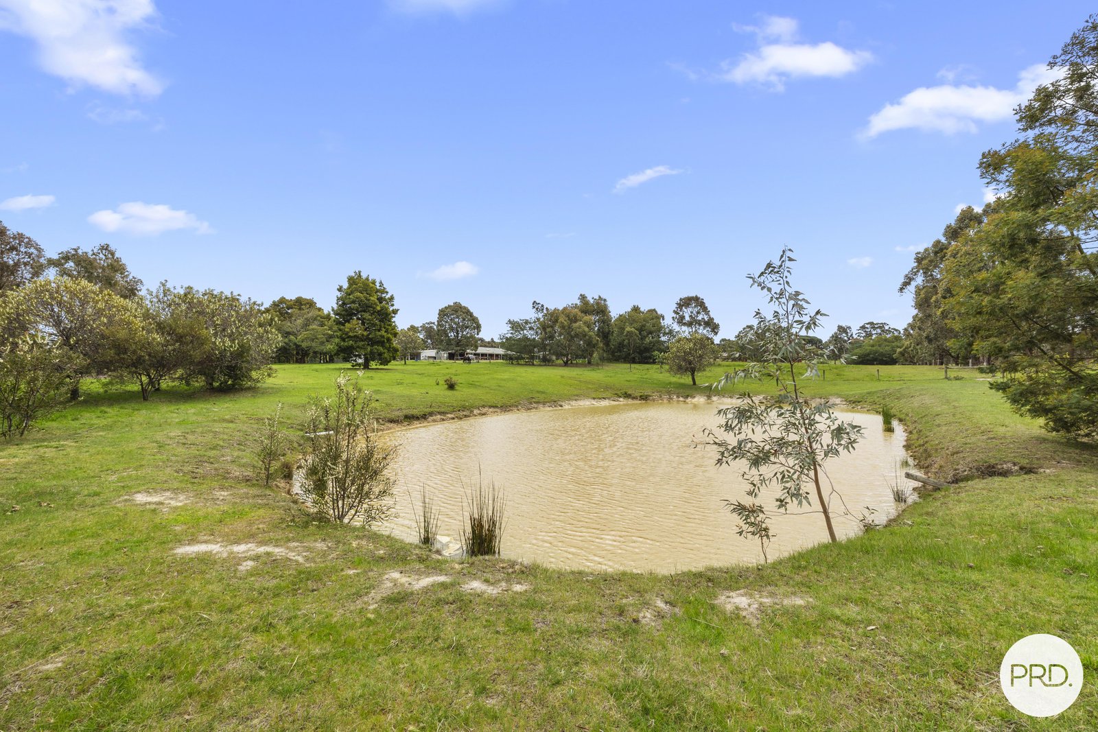 83 Kirks Road SMYTHES CREEK 16