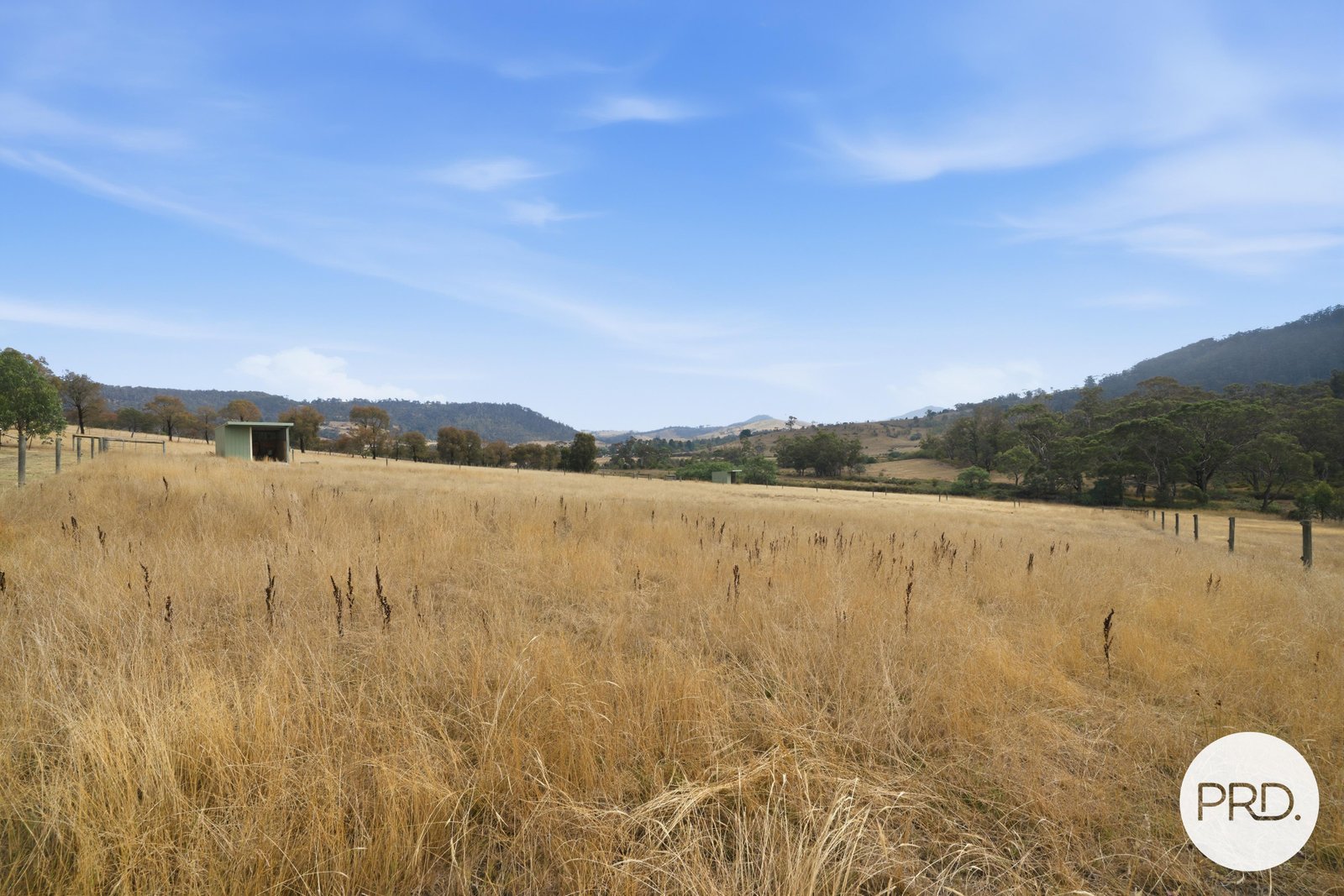 83 Winstead Road BAGDAD 10