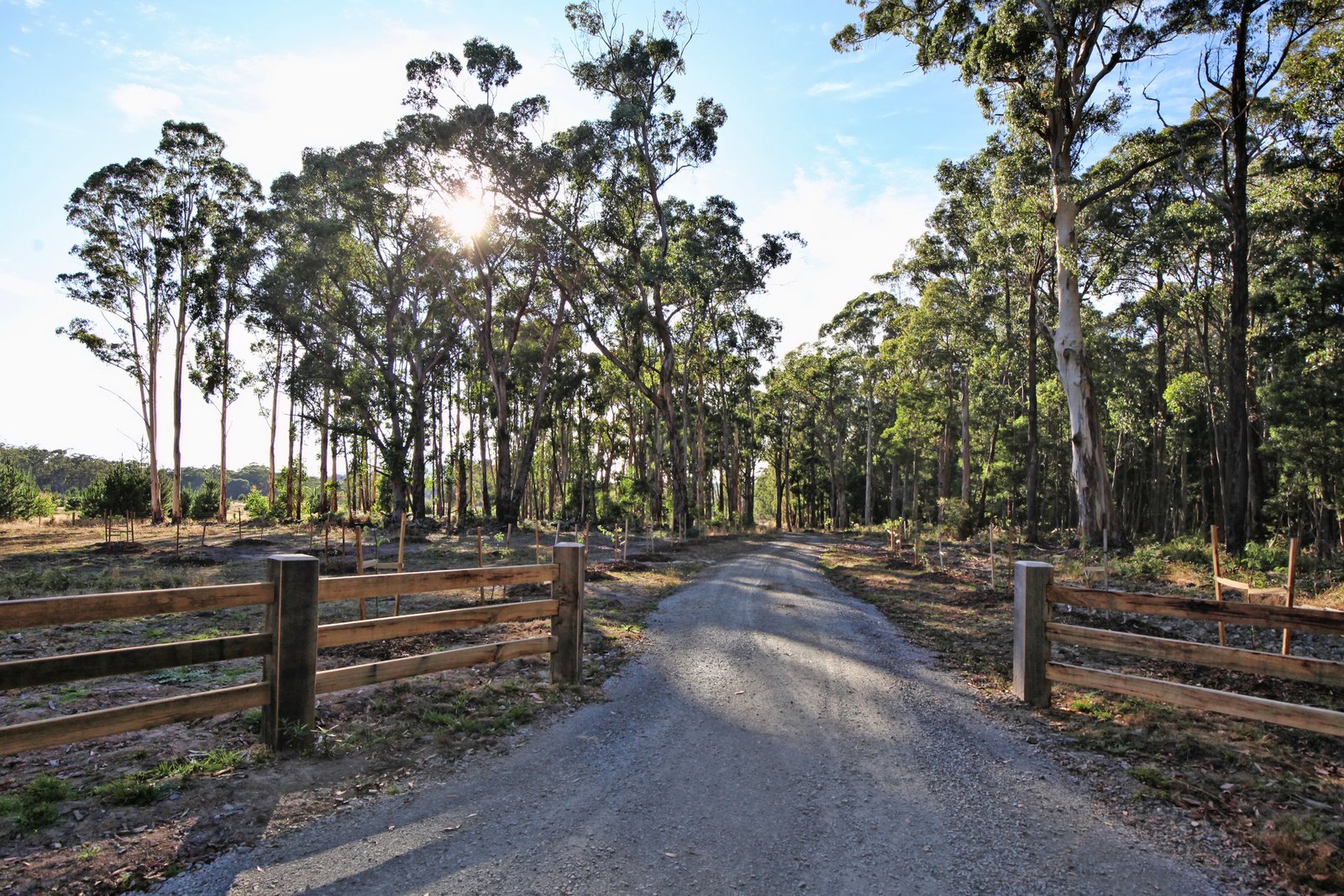 Real Estate and Property in 831 Falloons Road, Ashbourne, VIC