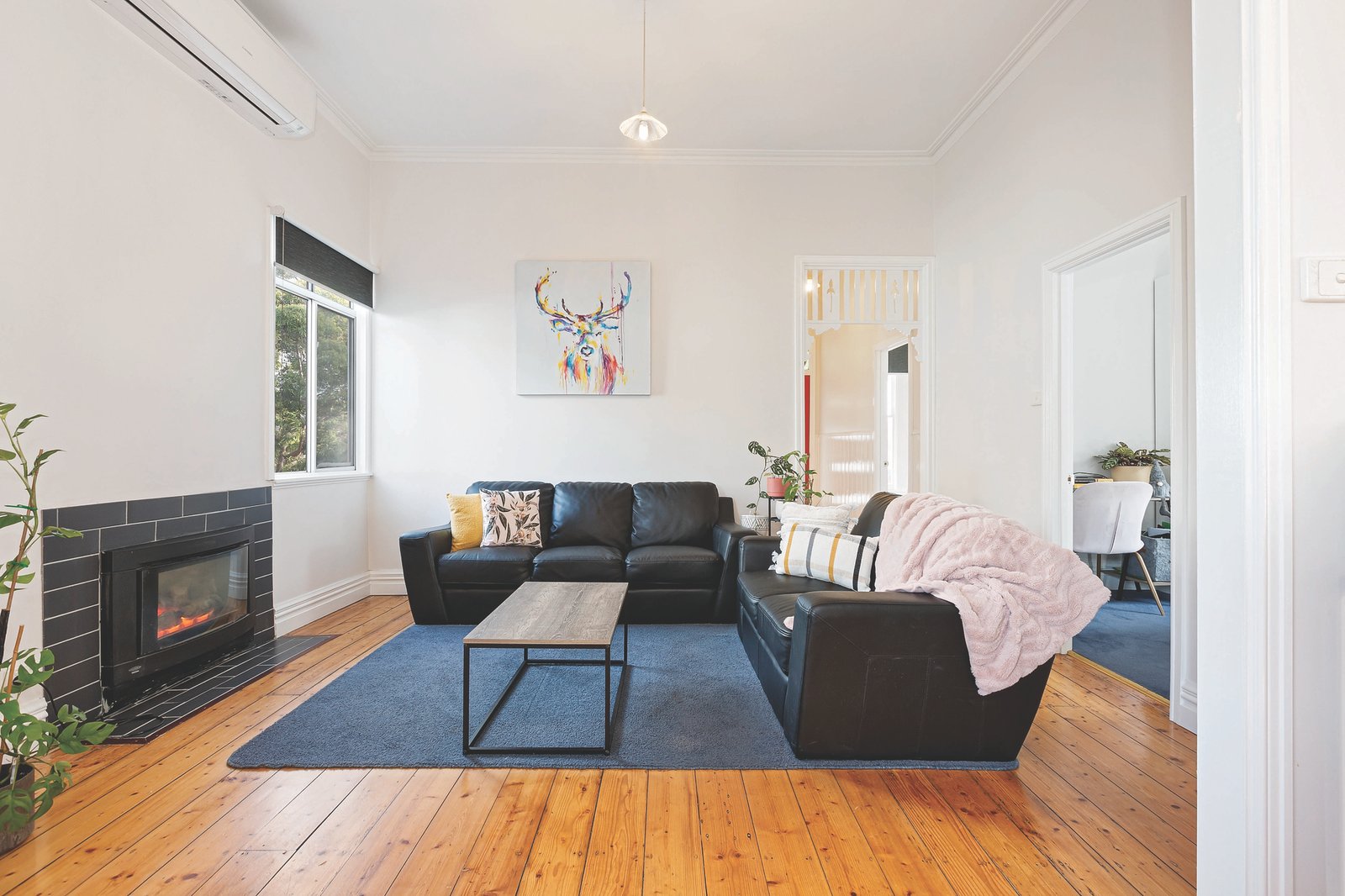 Gallery: 831 Humffray Street South