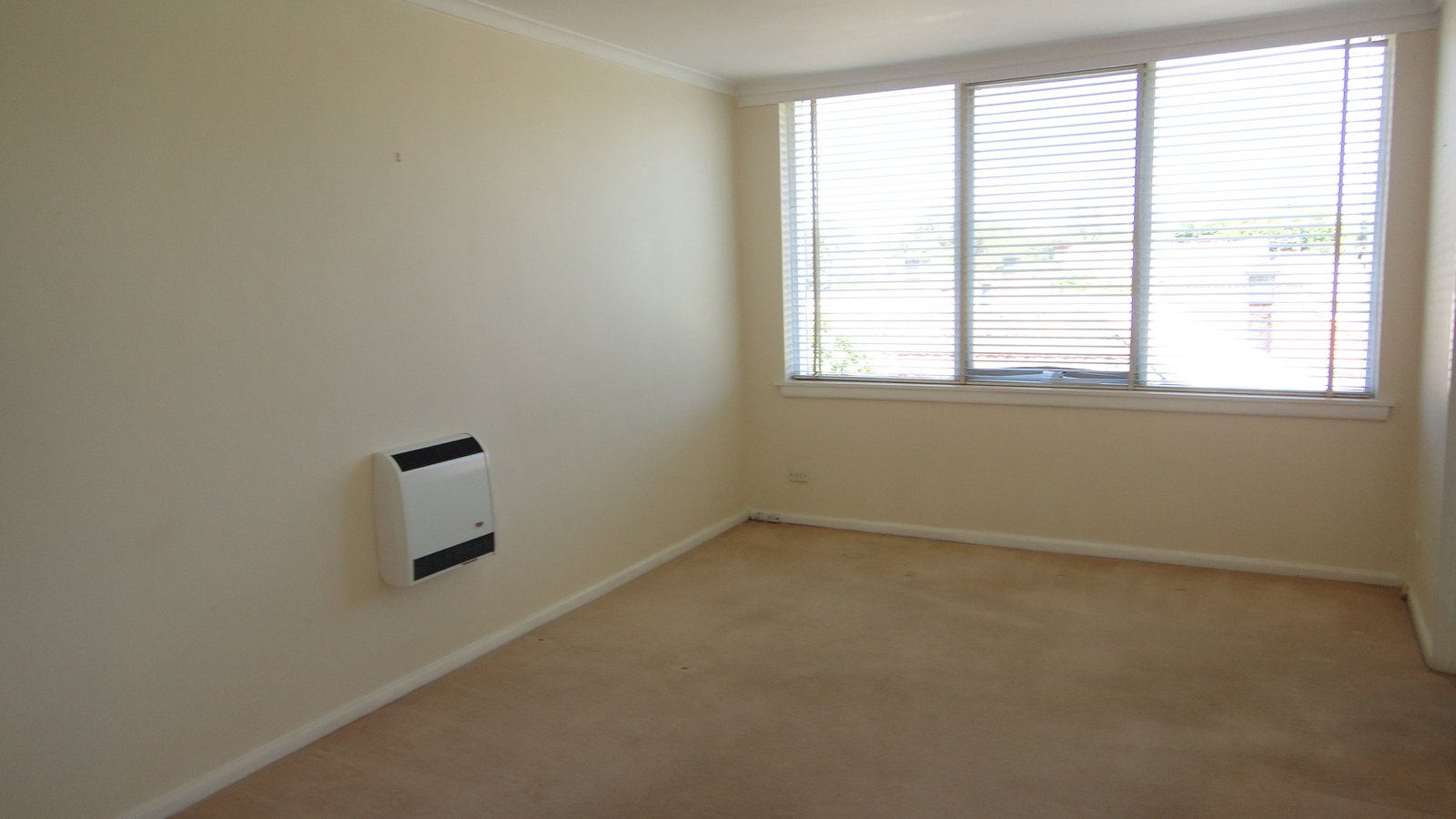 Gallery: 8/34 Longmore Street