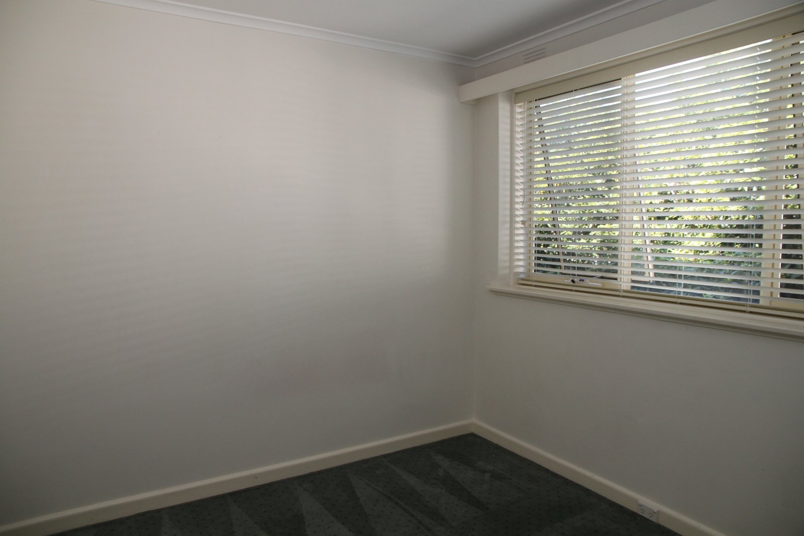 Gallery: 8/364a Carlisle Street
