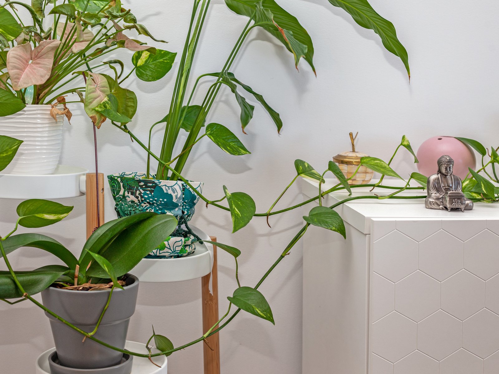 83/72 The Esplanade BURLEIGH HEADS 5