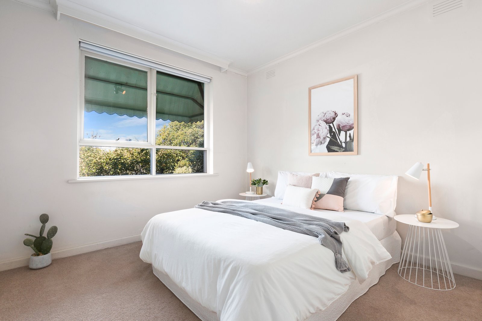 Gallery: 8/38 Alder Street