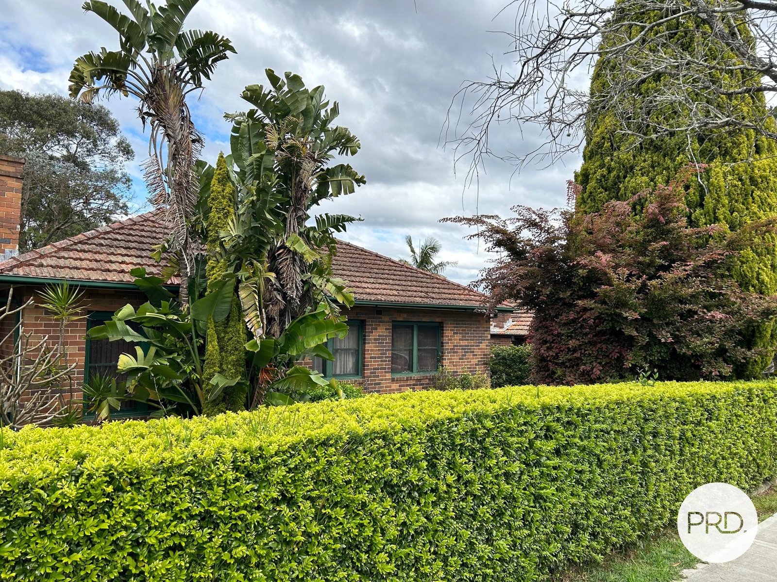 839 Forest Road PEAKHURST 2