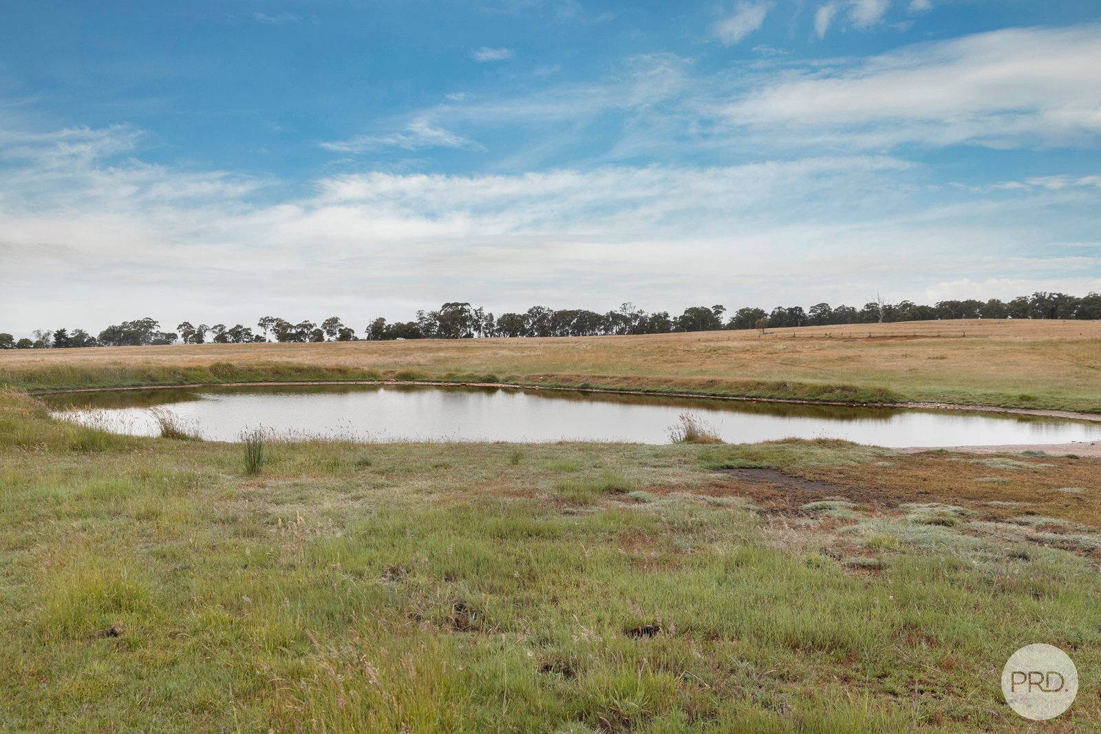 83C Natrass Road ROSS CREEK 8