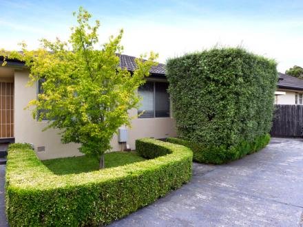 Gallery: 8/4-6 Maxwell Court