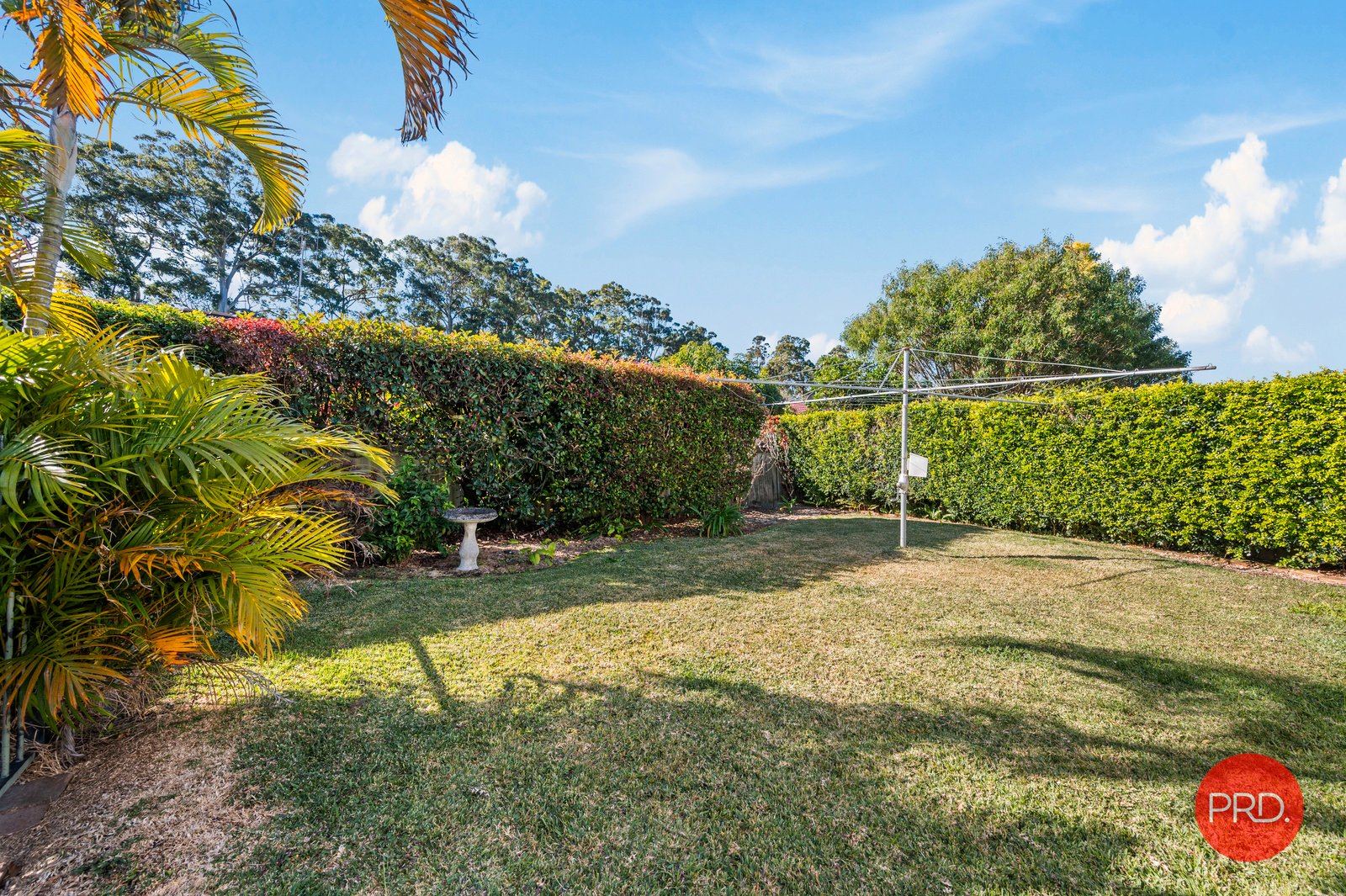 84 Argyll St  COFFS HARBOUR 27