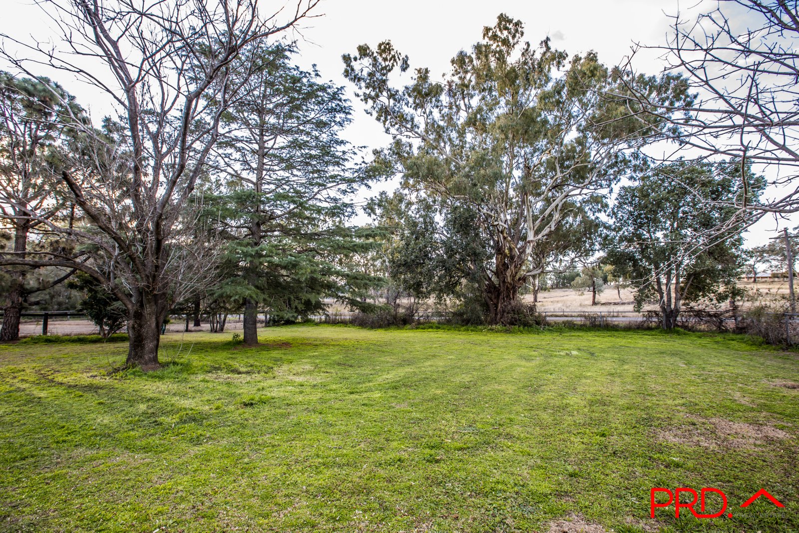 84 Davis Street CURRABUBULA 29