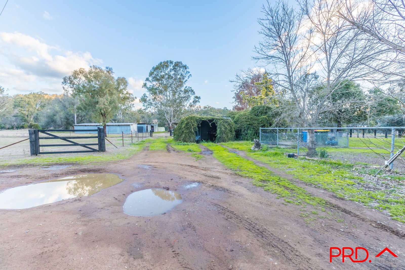 84 Davis Street CURRABUBULA 31