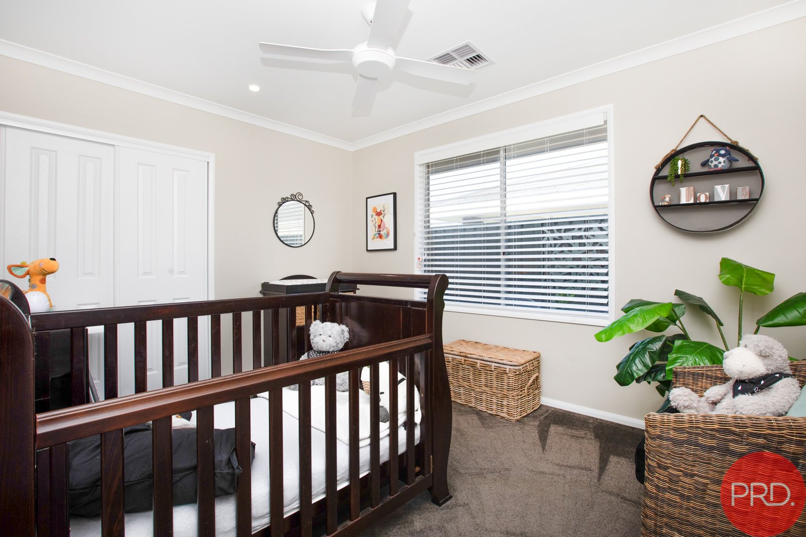 84 Grand Parade RUTHERFORD 18