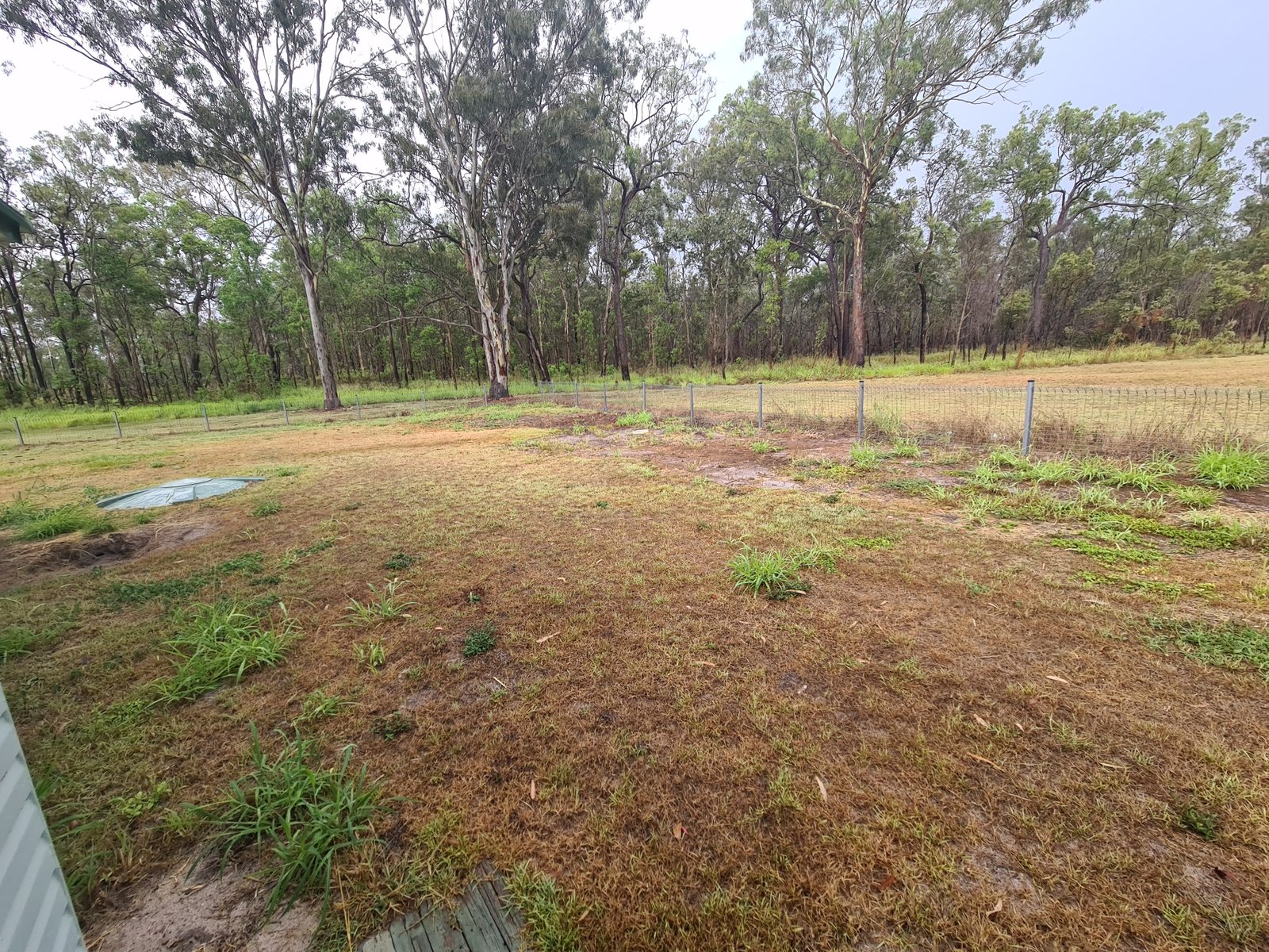 84 ROE Street MIRIAM VALE 17