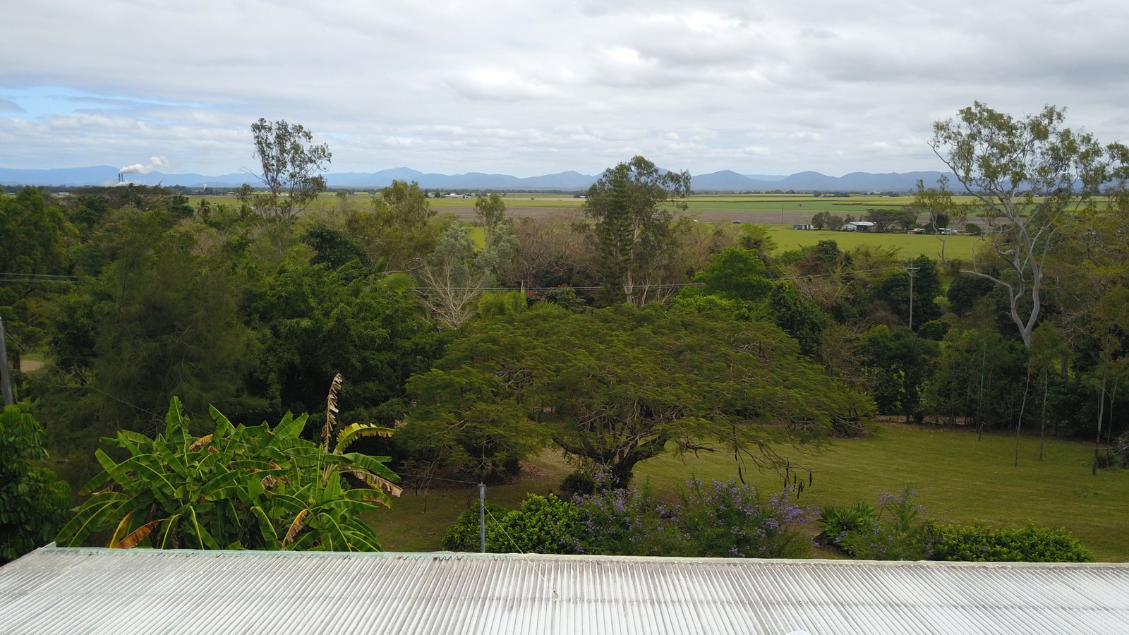 84 Tyree Road MOUNT JULIAN 24