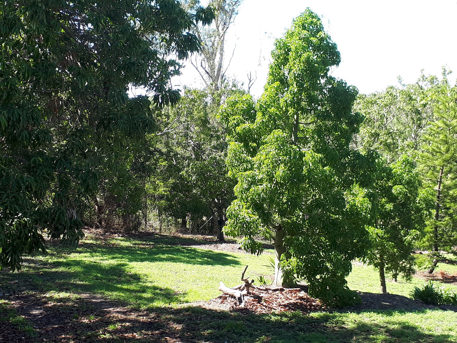 84 Tyree Road MOUNT JULIAN 25