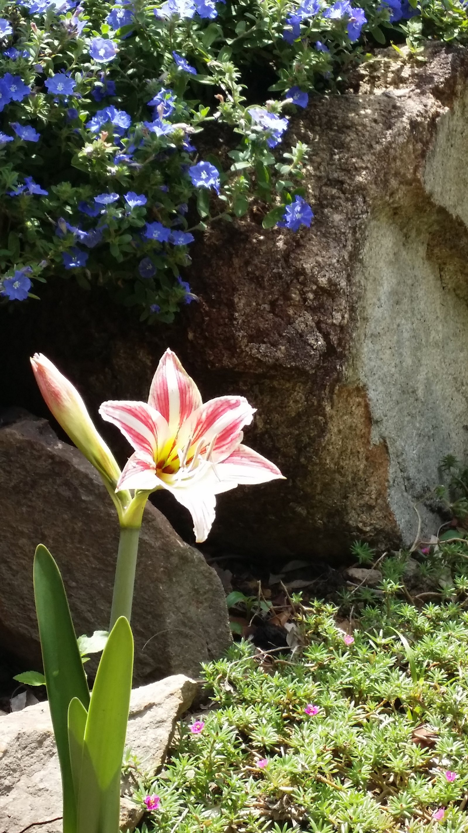 84 Tyree Road MOUNT JULIAN 27