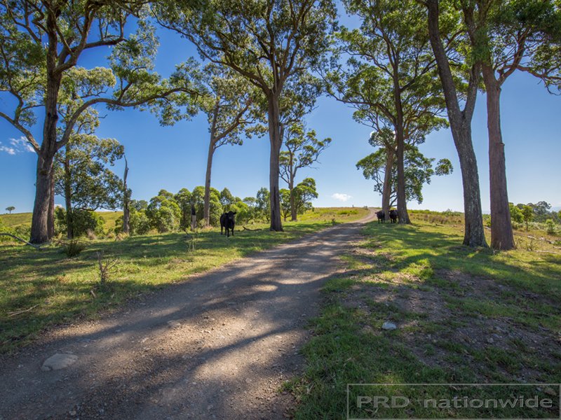 842 Glen Martin Road CLARENCE TOWN 14