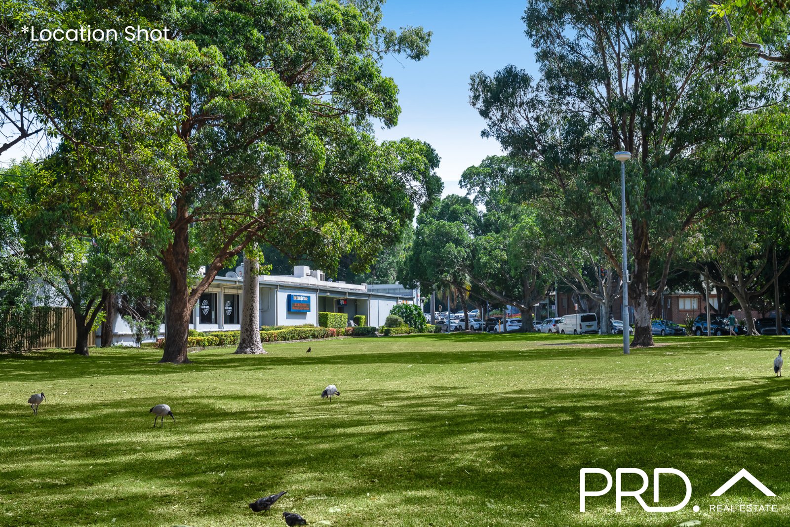 8/43 Northam Avenue BANKSTOWN 7