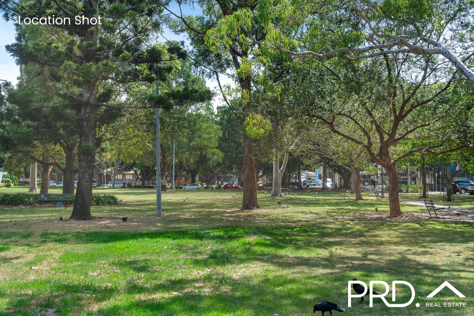 8/43 Northam Avenue BANKSTOWN 9