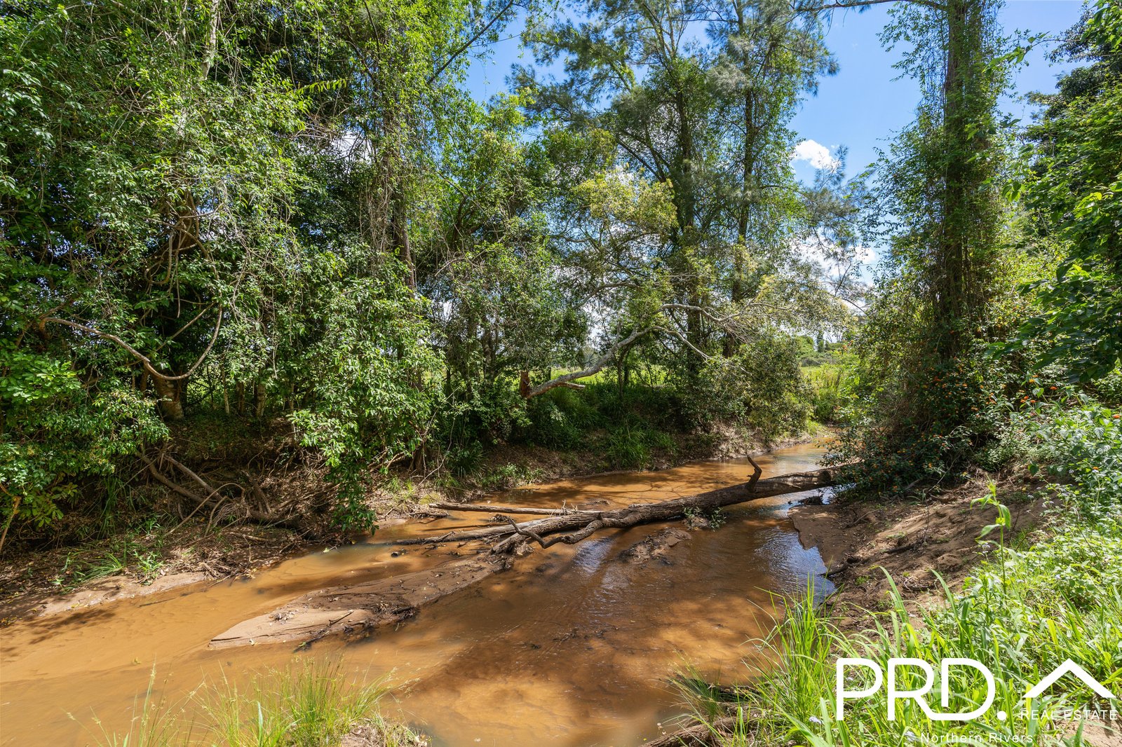 845 Mongogarie Road LEEVILLE 7
