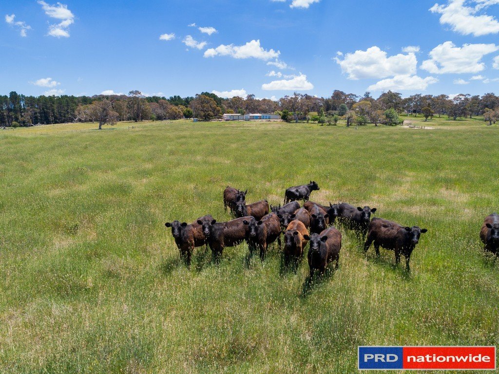 847 Hoskinstown Road HOSKINSTOWN 8