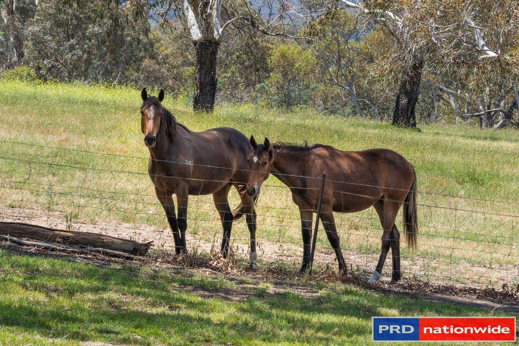 847 Hoskinstown Road HOSKINSTOWN 26