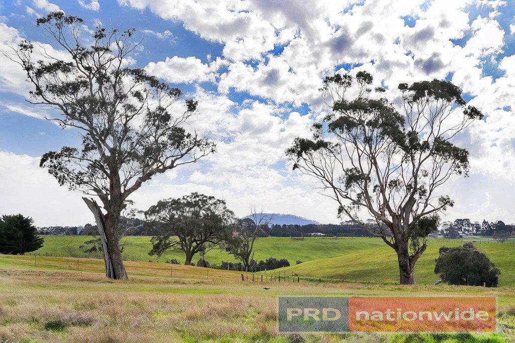 847 Yendon-Egerton Road MILLBROOK 18