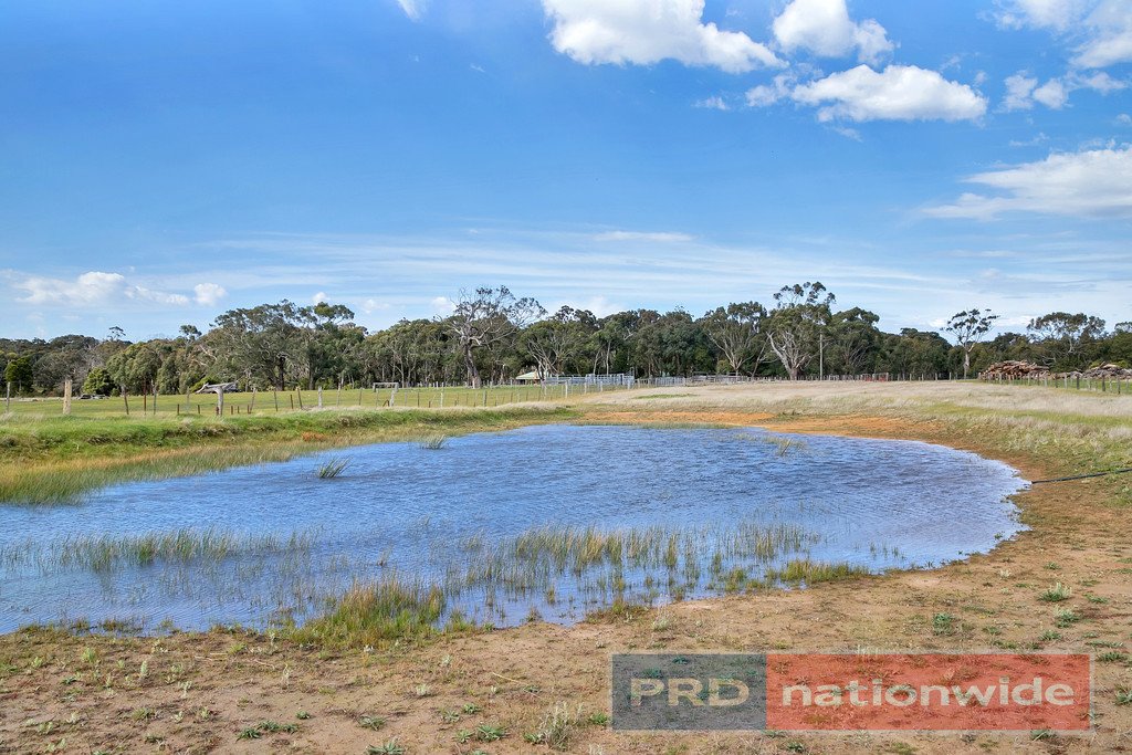 847 Yendon-Egerton Road MILLBROOK 19