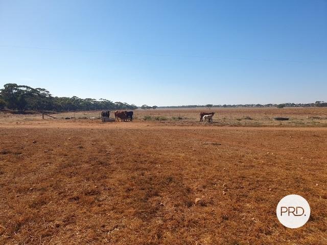 8479 Millewa Road MERINGUR 1