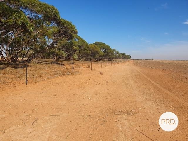 8479 Millewa Road MERINGUR 2