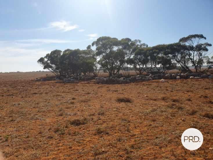 8479 Millewa Road MERINGUR 4