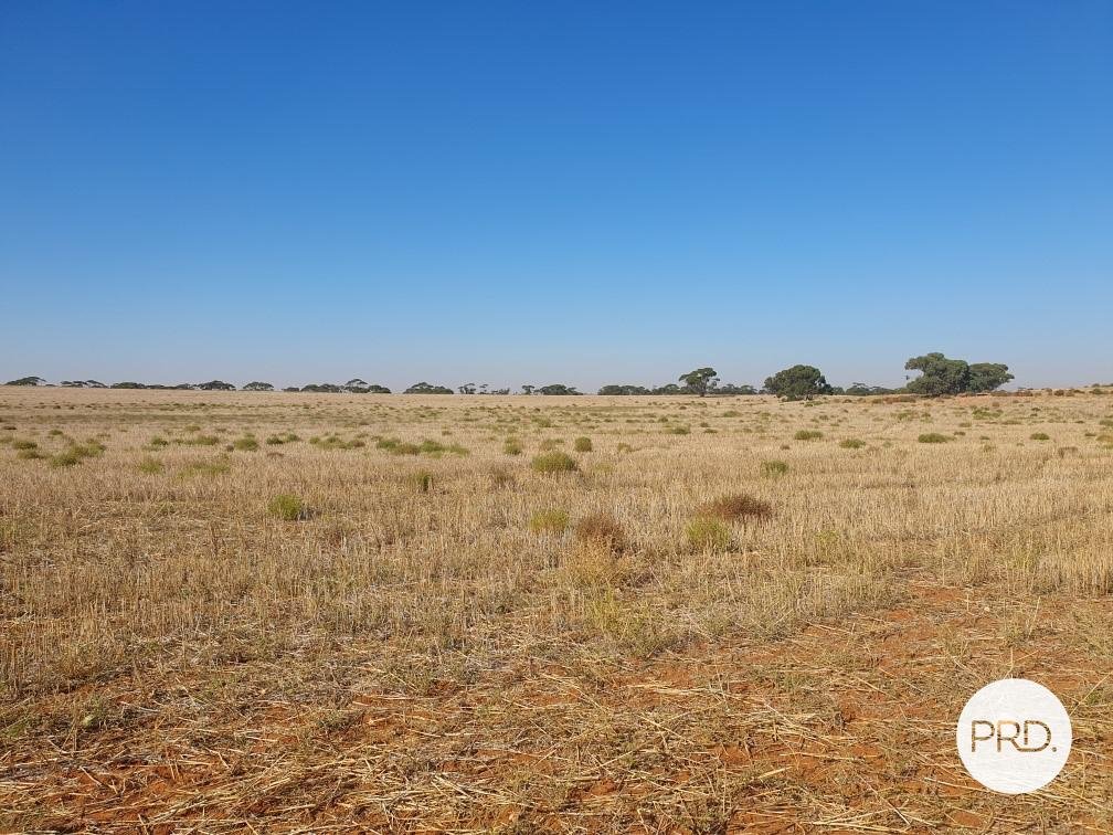 8479 Millewa Road MERINGUR 11