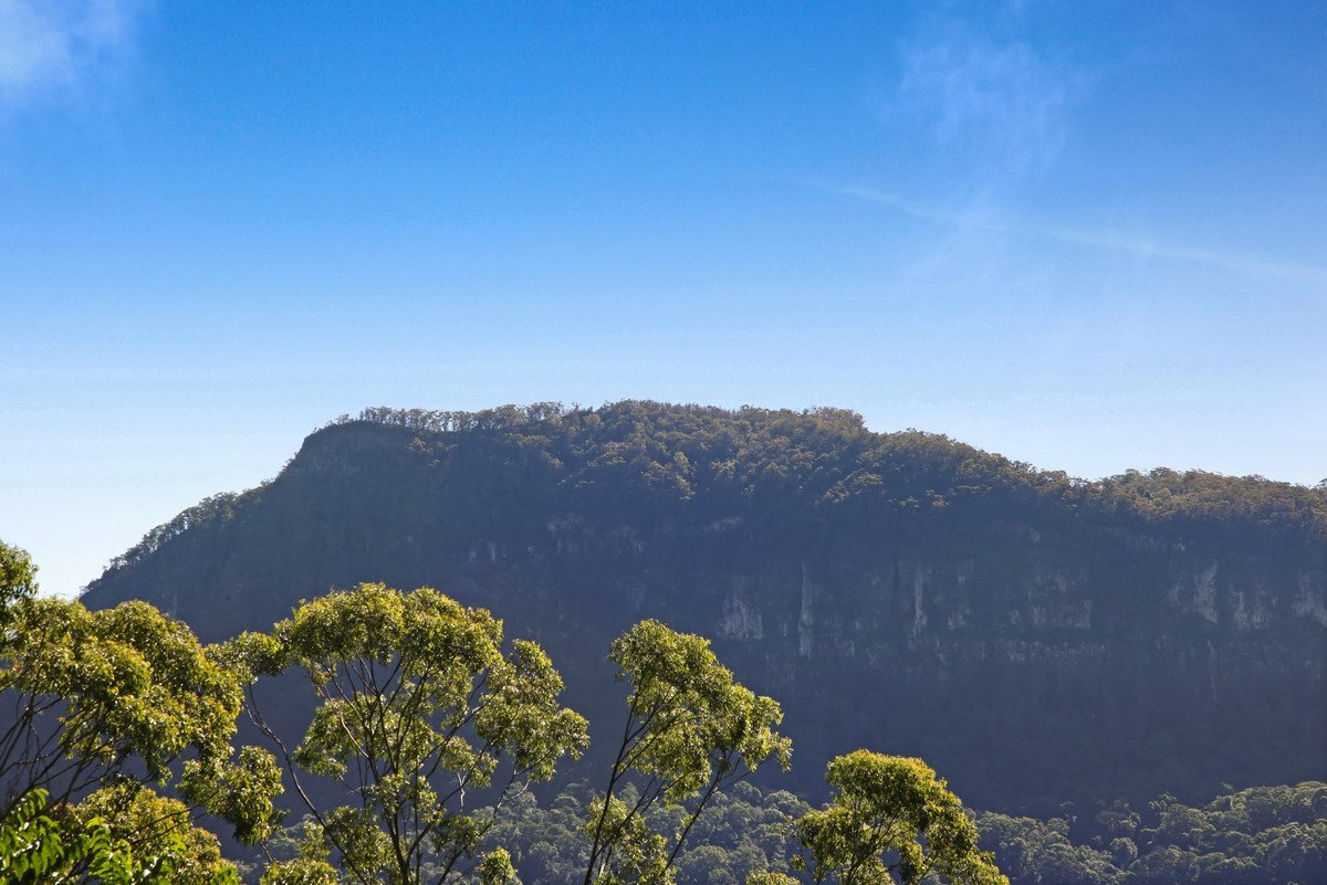 848 Tomewin Mountain Road Currumbin Valley 14