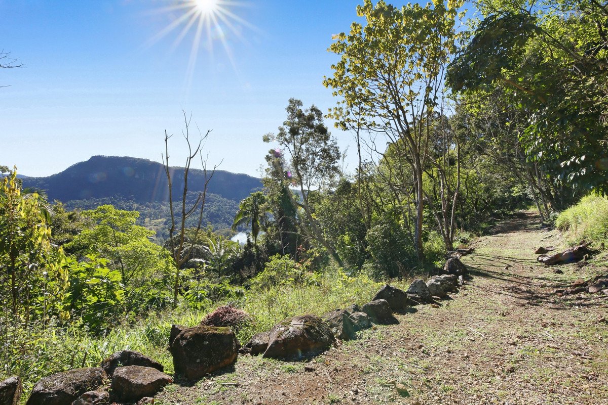 848 Tomewin Mountain Road Currumbin Valley 15