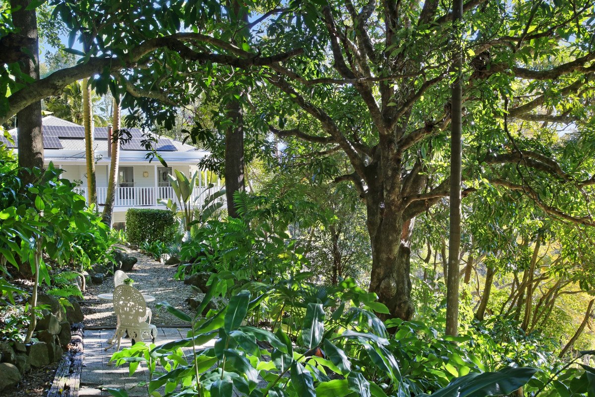 848 Tomewin Mountain Road Currumbin Valley 32