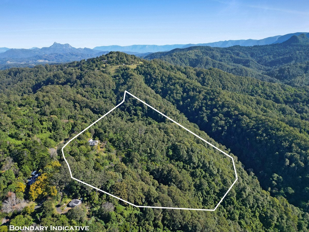 848 Tomewin Mountain Road Currumbin Valley 34