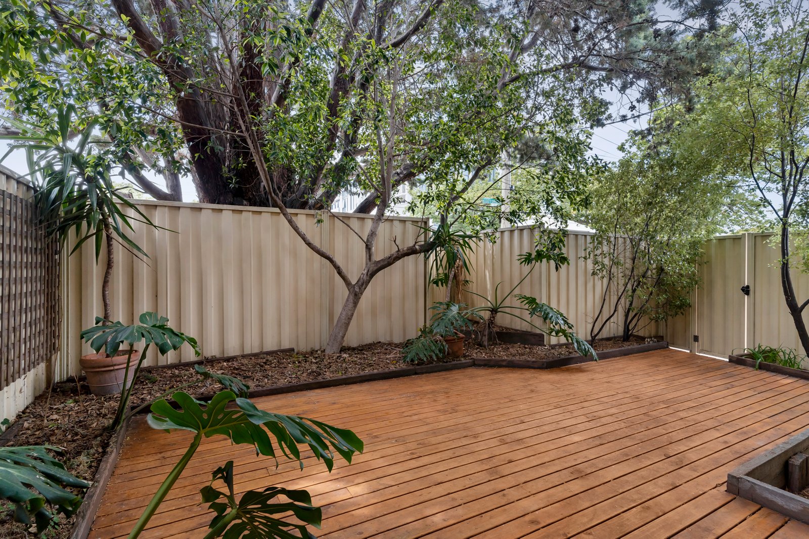 Real Estate and Property in 8/481 Kooyong Road, Elsternwick, VIC