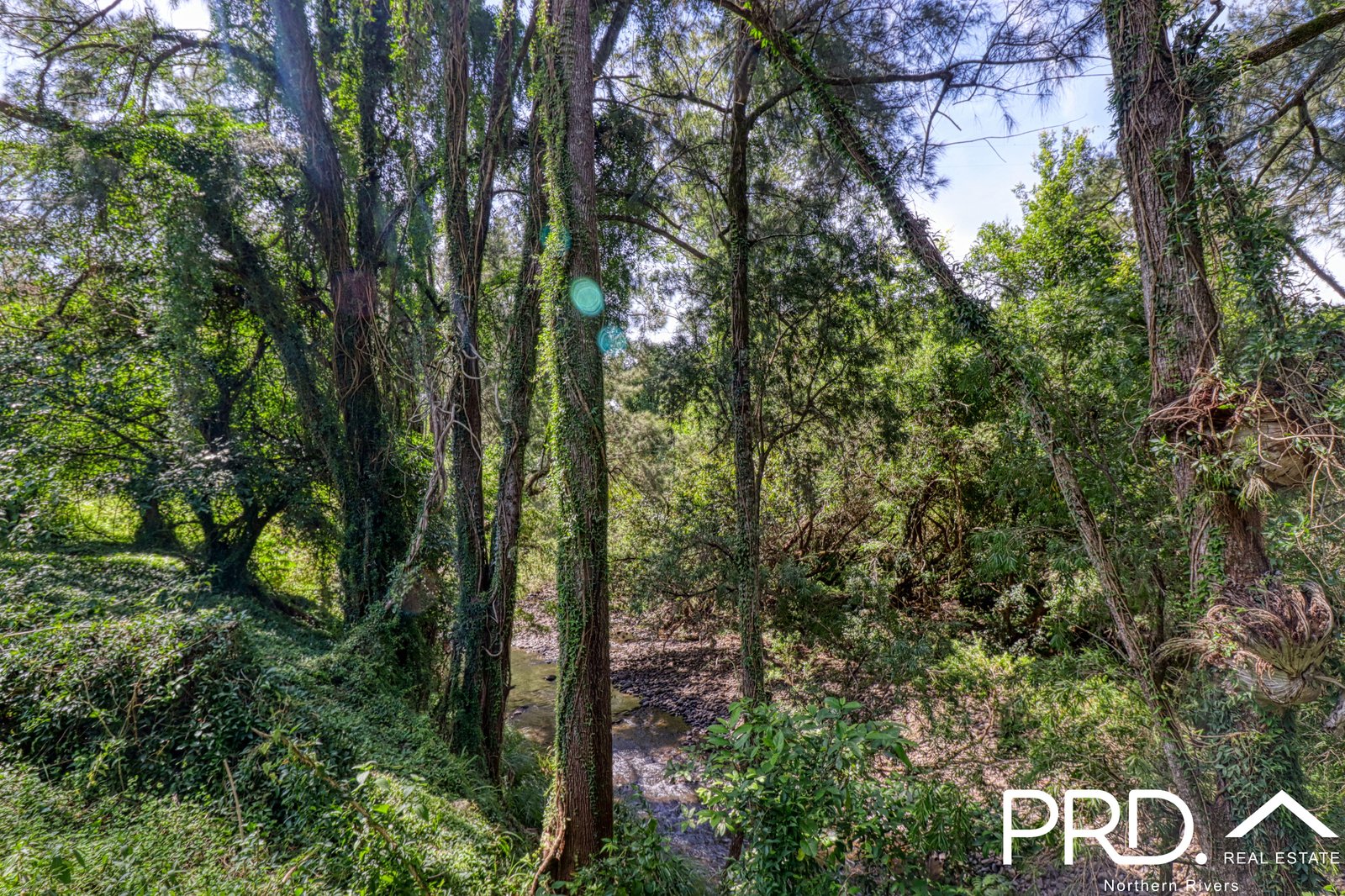 849 Eden Creek Road, Upper Eden Creek  KYOGLE 2