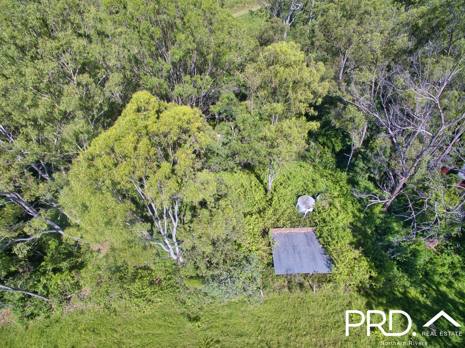 849 Eden Creek Road, Upper Eden Creek  KYOGLE 3