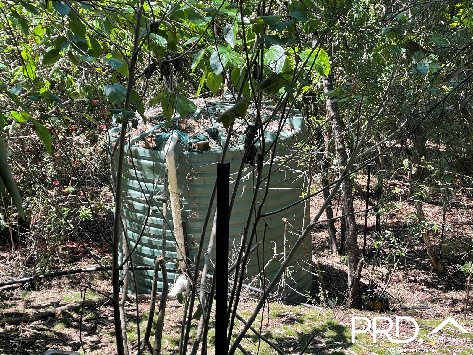 849 Eden Creek Road, Upper Eden Creek  KYOGLE 8