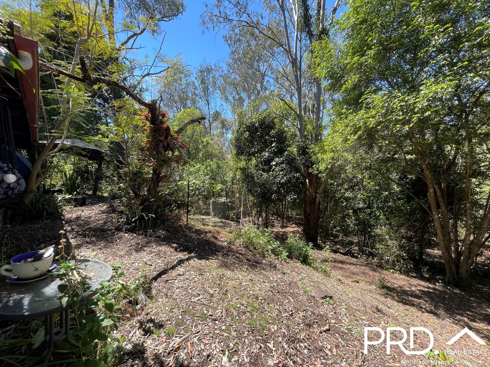 849 Eden Creek Road, Upper Eden Creek  KYOGLE 15