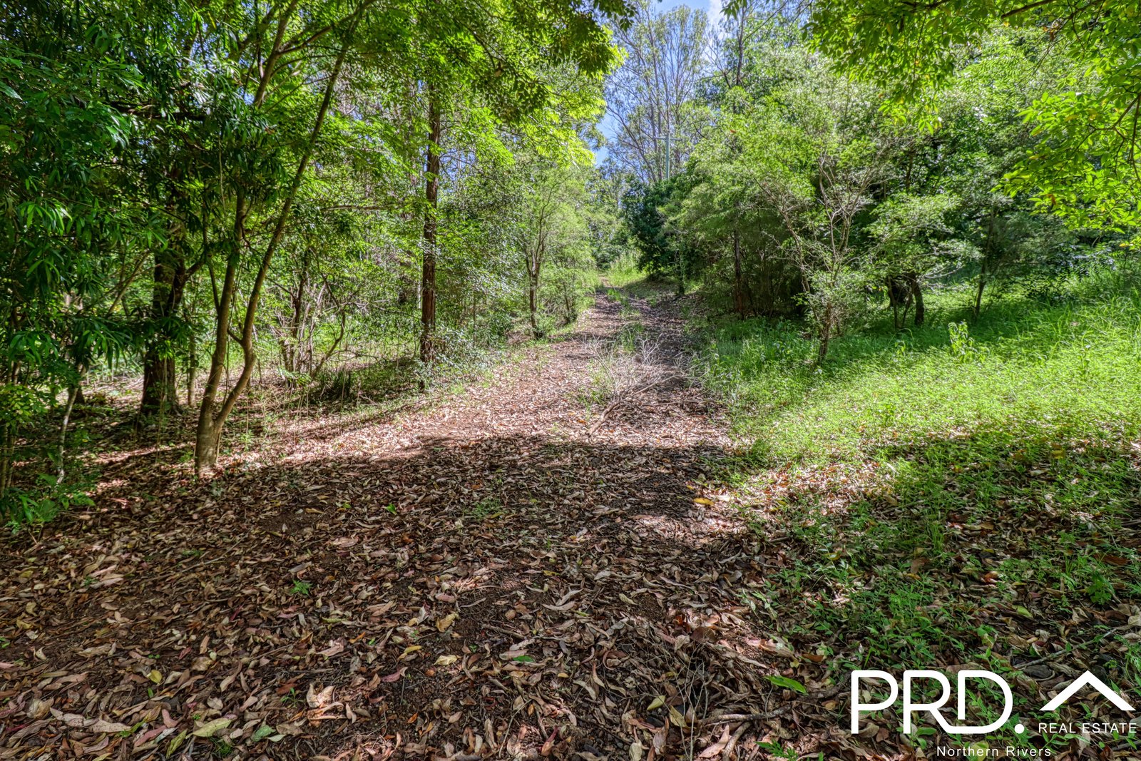 849 Eden Creek Road, Upper Eden Creek  KYOGLE 19