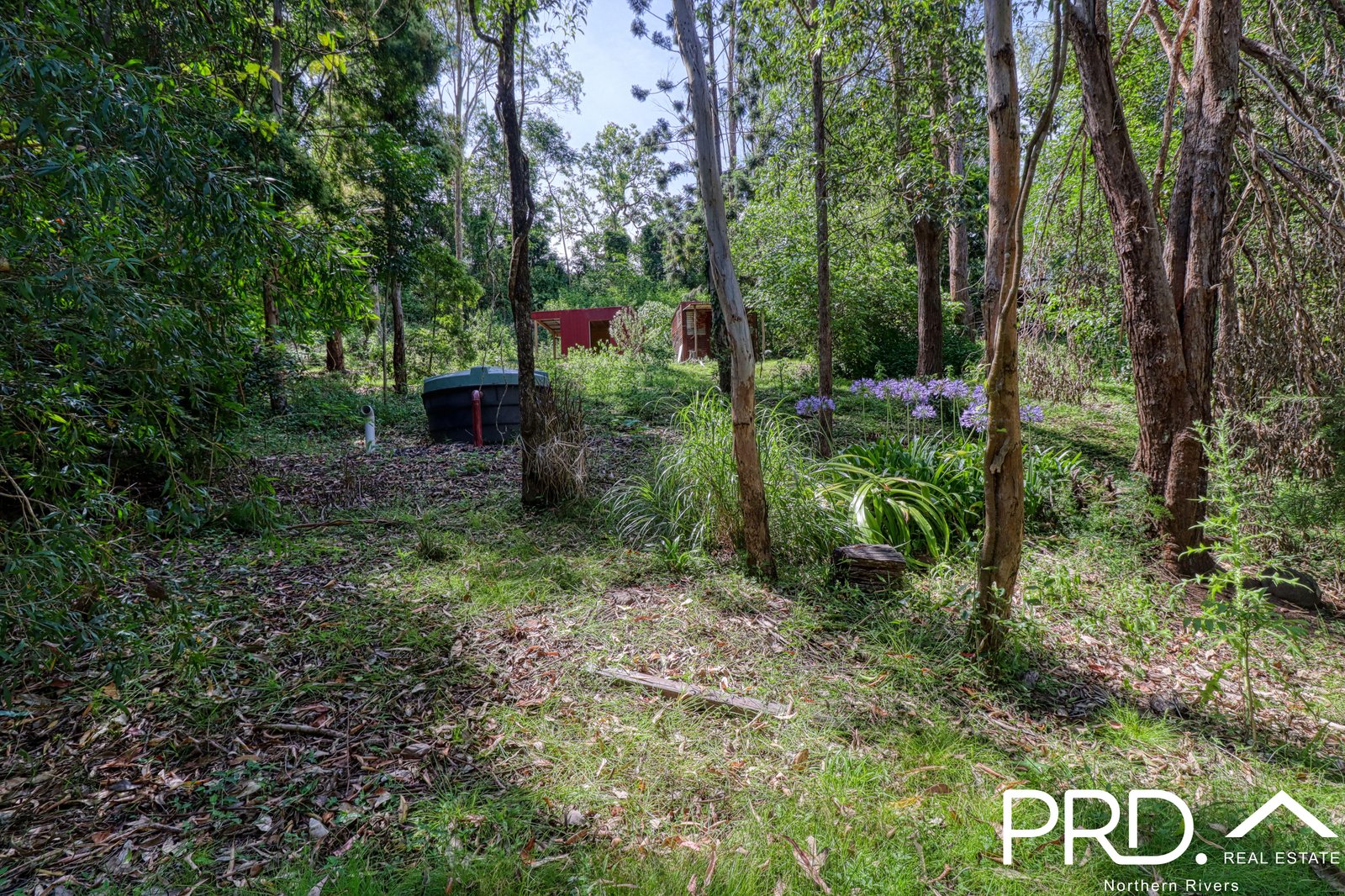849 Eden Creek Road, Upper Eden Creek  KYOGLE 20