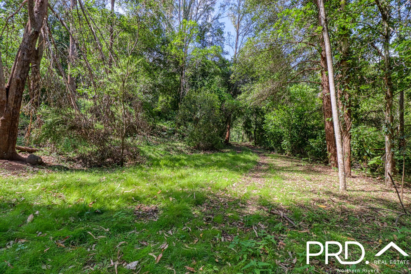 849 Eden Creek Road, Upper Eden Creek  KYOGLE 22