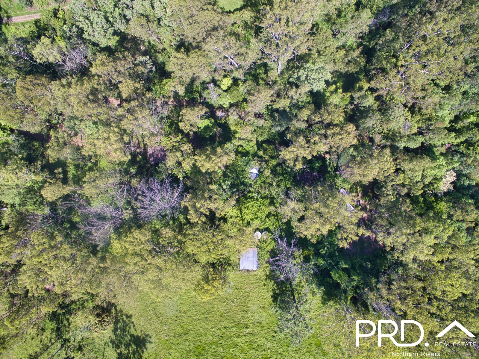 849 Eden Creek Road, Upper Eden Creek  KYOGLE 29