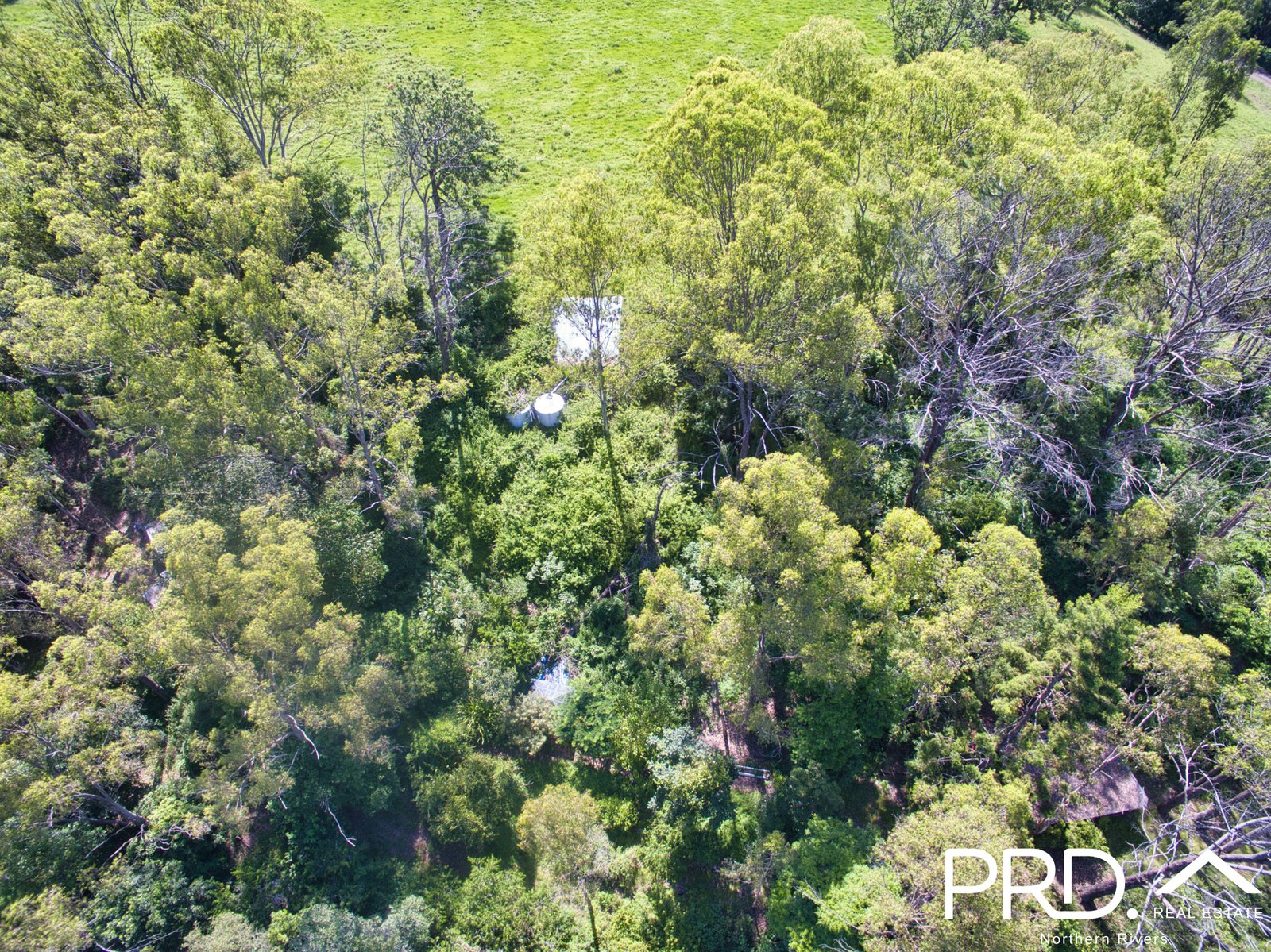 849 Eden Creek Road, Upper Eden Creek  KYOGLE 31