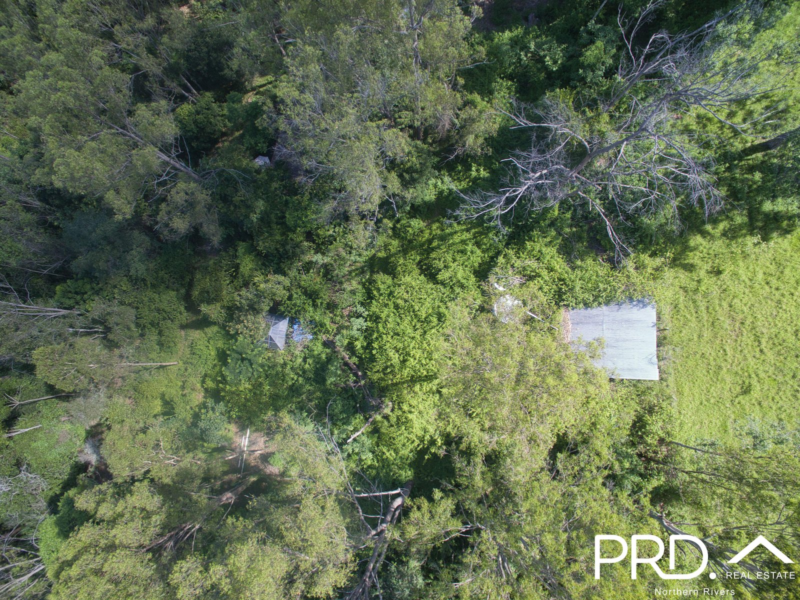 849 Eden Creek Road, Upper Eden Creek  KYOGLE 32