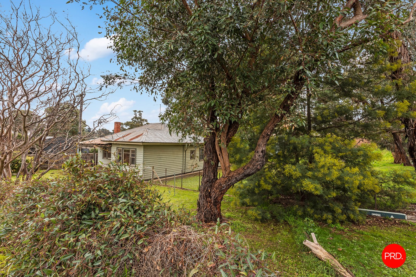 85-87 Duke Street CASTLEMAINE 11