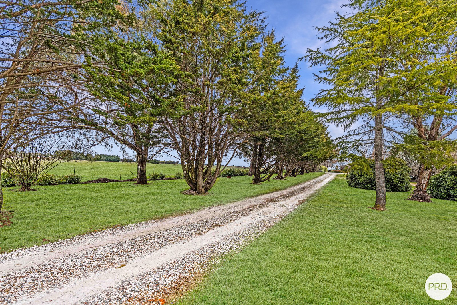 85 Cully Road ORANGE 2